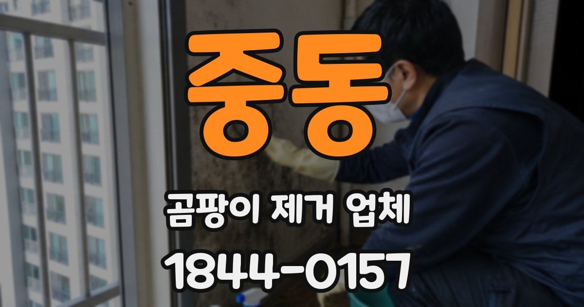 중동 곰팡이 제거 업체