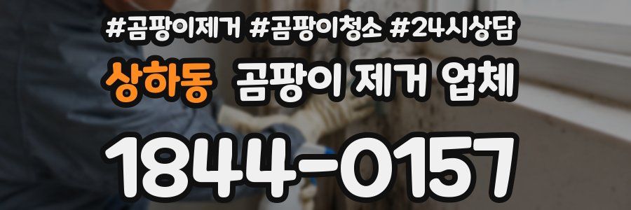 상하동 곰팡이 제거 업체