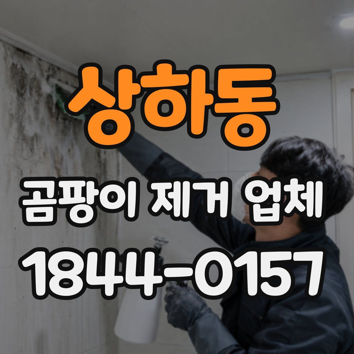 상하동 곰팡이 제거 업체