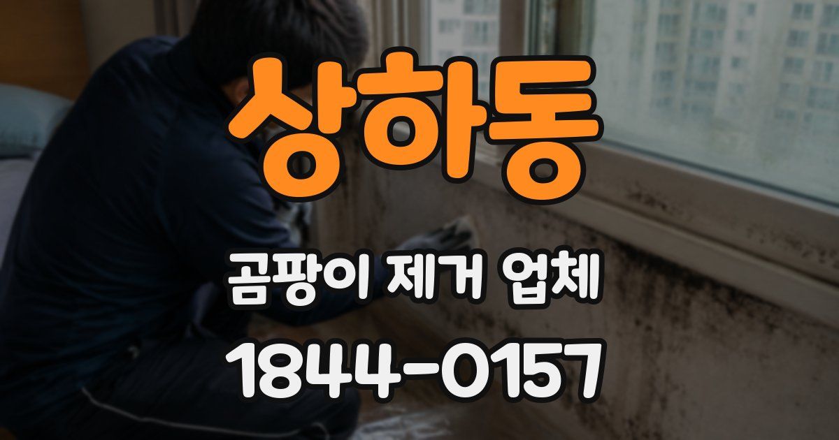 상하동 곰팡이 제거 업체