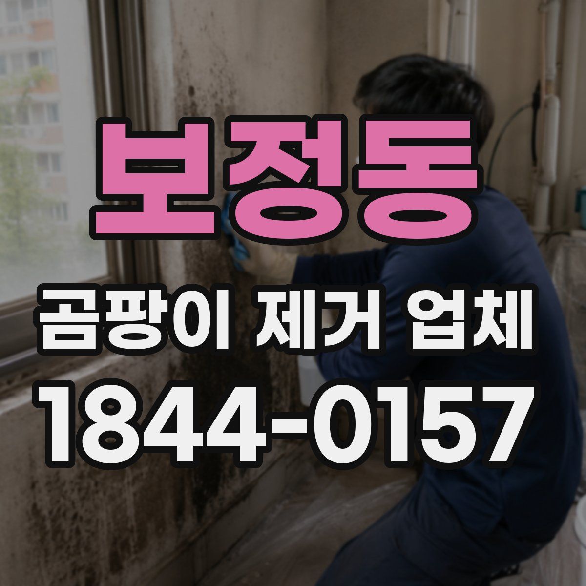 보정동 곰팡이 제거 업체