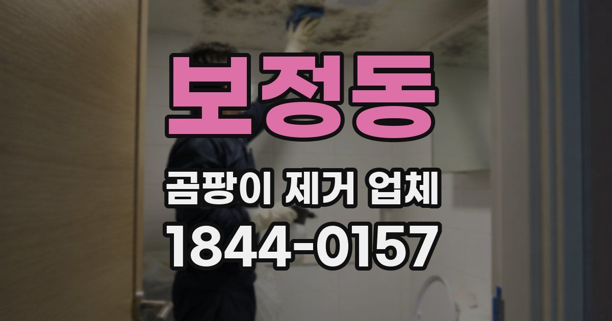 보정동 곰팡이 제거 업체