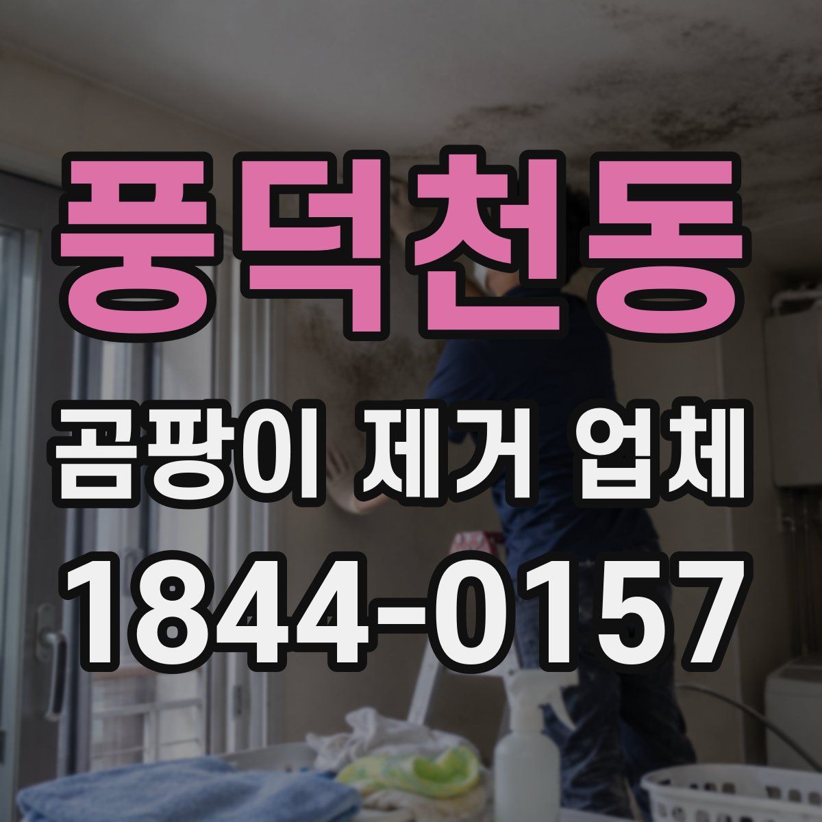 풍덕천동 곰팡이 제거 업체