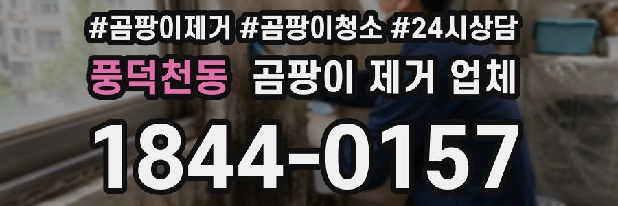 풍덕천동 곰팡이 제거 업체