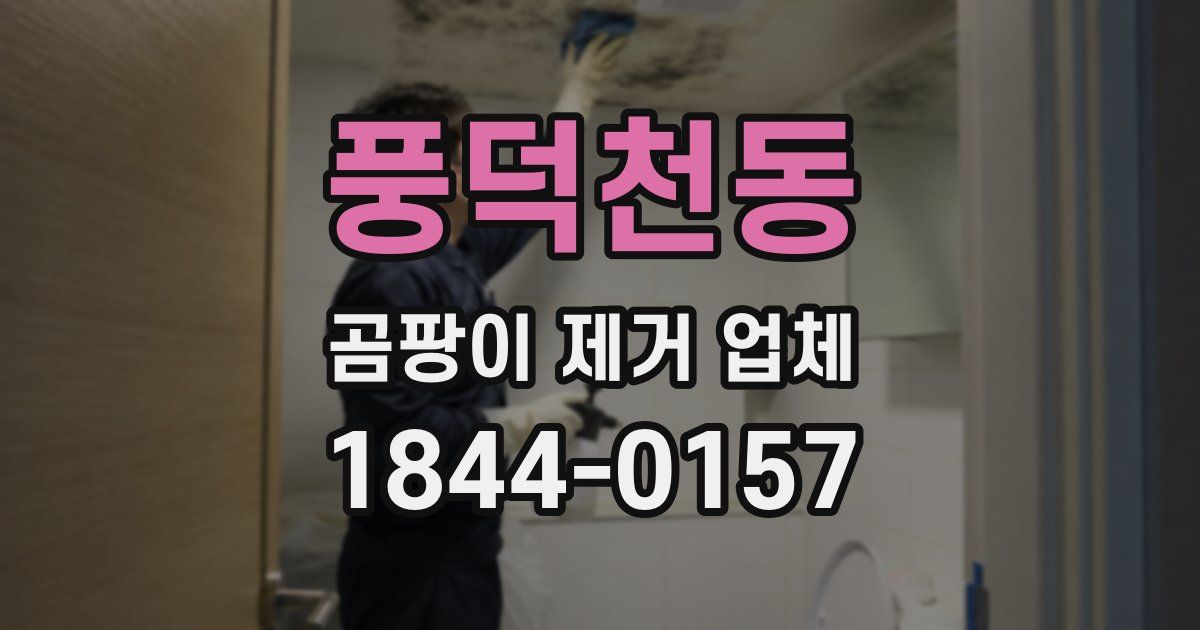 풍덕천동 곰팡이 제거 업체