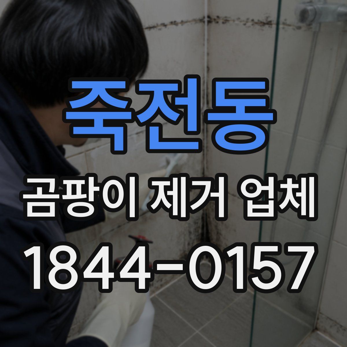 죽전동 곰팡이 제거 업체