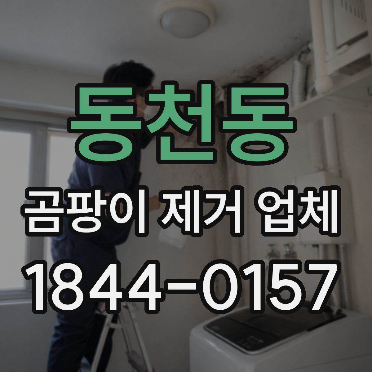 동천동 곰팡이 제거 업체