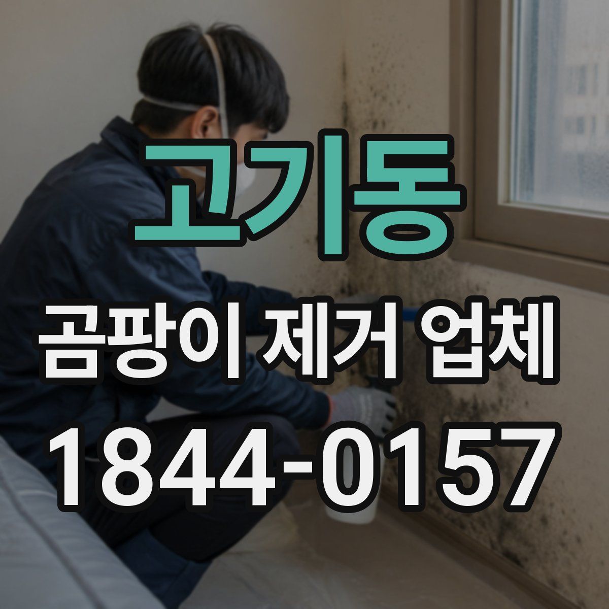 고기동 곰팡이 제거 업체