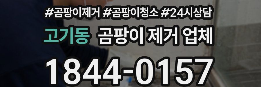 고기동 곰팡이 제거 업체