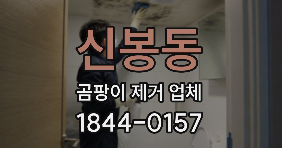 신봉동 곰팡이 제거 업체
