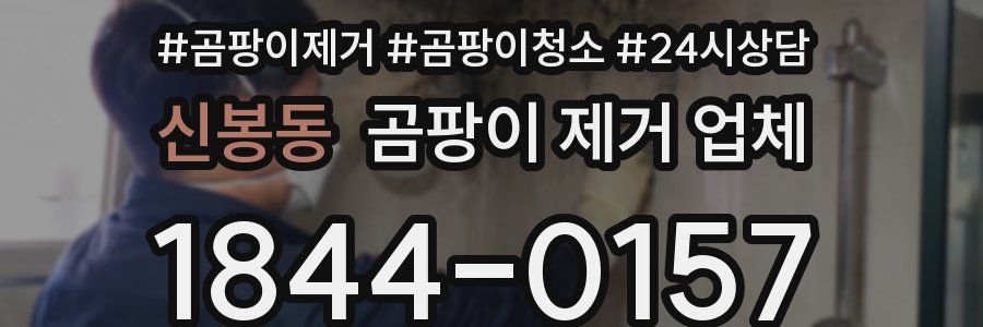 신봉동 곰팡이 제거 업체