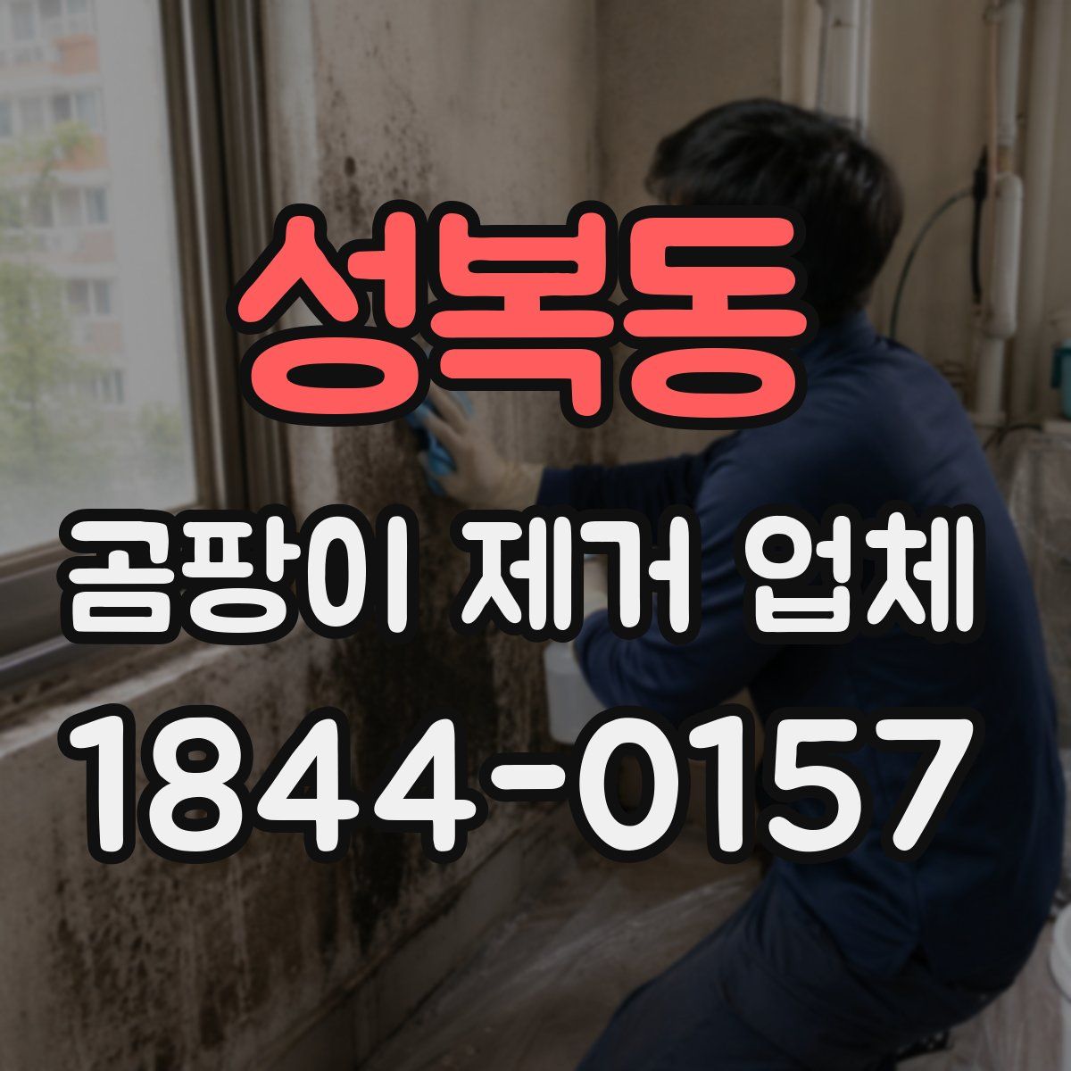 성복동 곰팡이 제거 업체