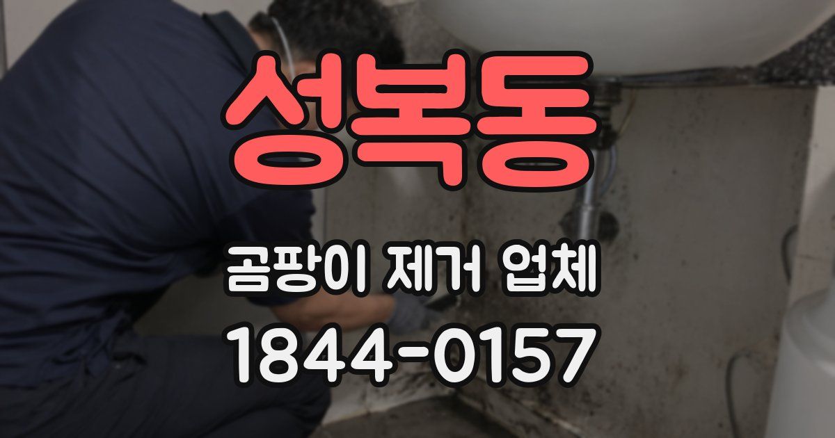성복동 곰팡이 제거 업체