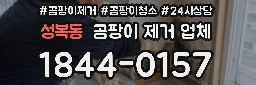 성복동 곰팡이 제거 업체