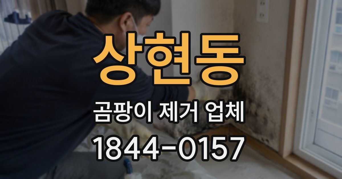 상현동 곰팡이 제거 업체