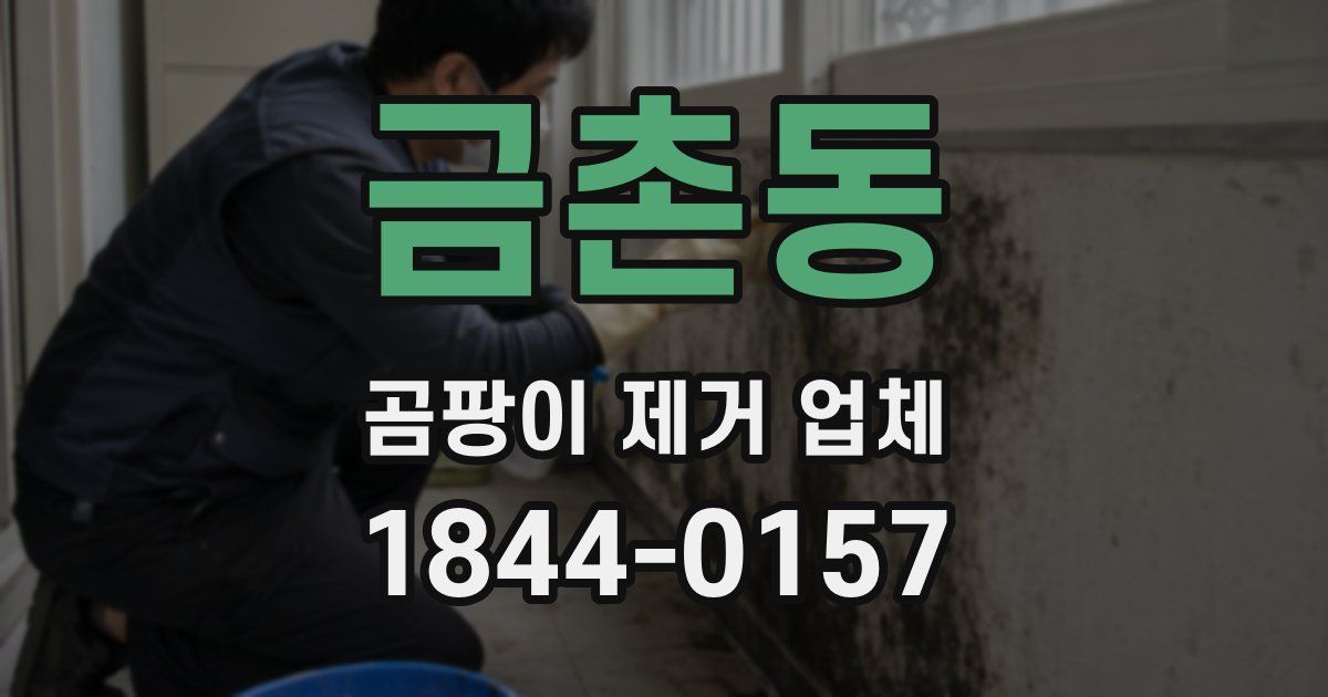 금촌동 곰팡이 제거 업체