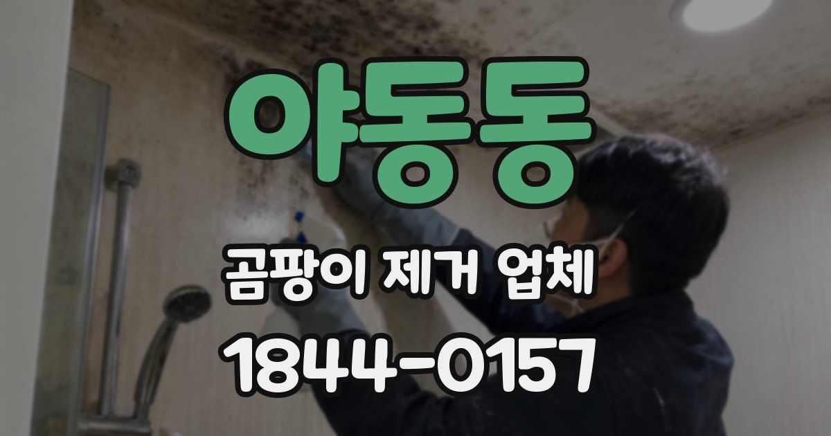 야동동 곰팡이 제거 업체