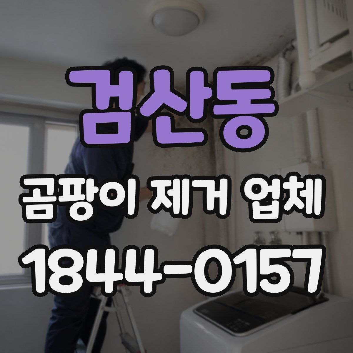 검산동 곰팡이 제거 업체