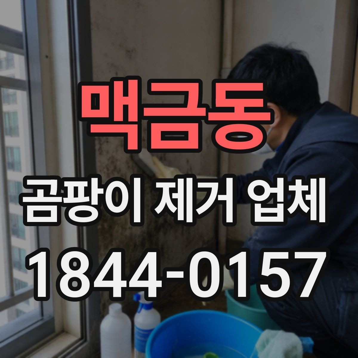 맥금동 곰팡이 제거 업체 사진 상담으로 현장 상태를 빠르게 파악하는 방법