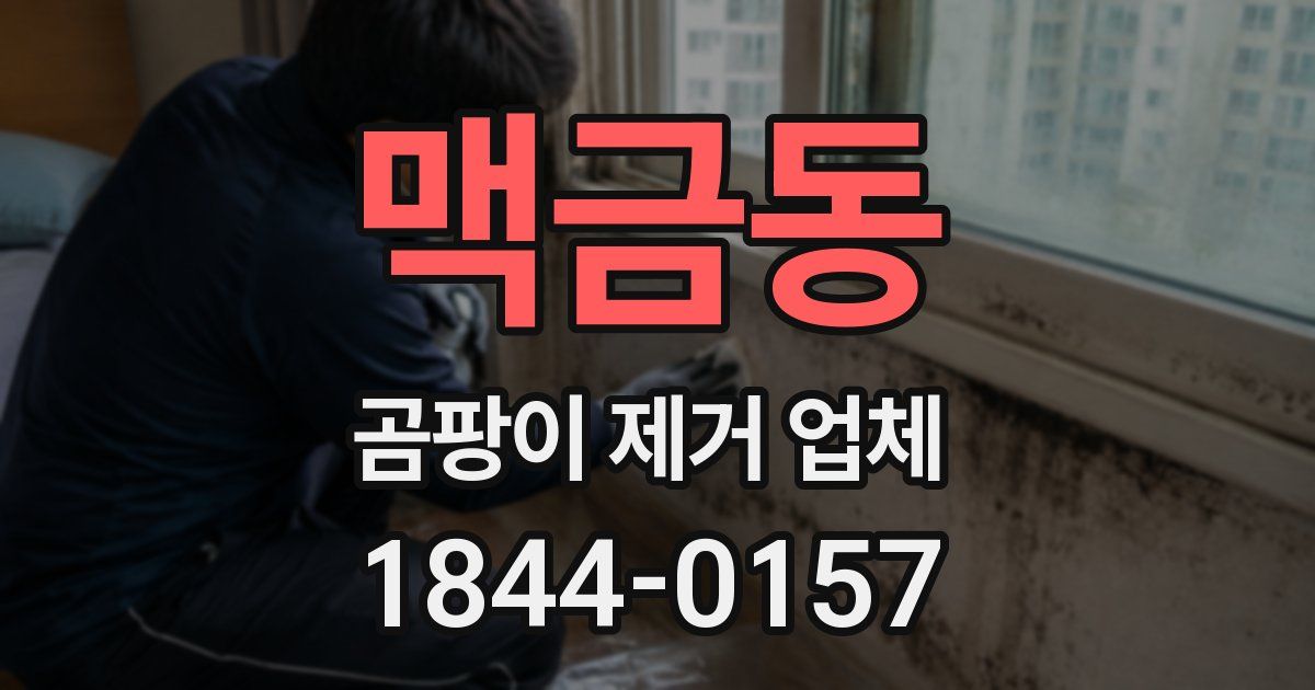 맥금동 곰팡이 제거 업체