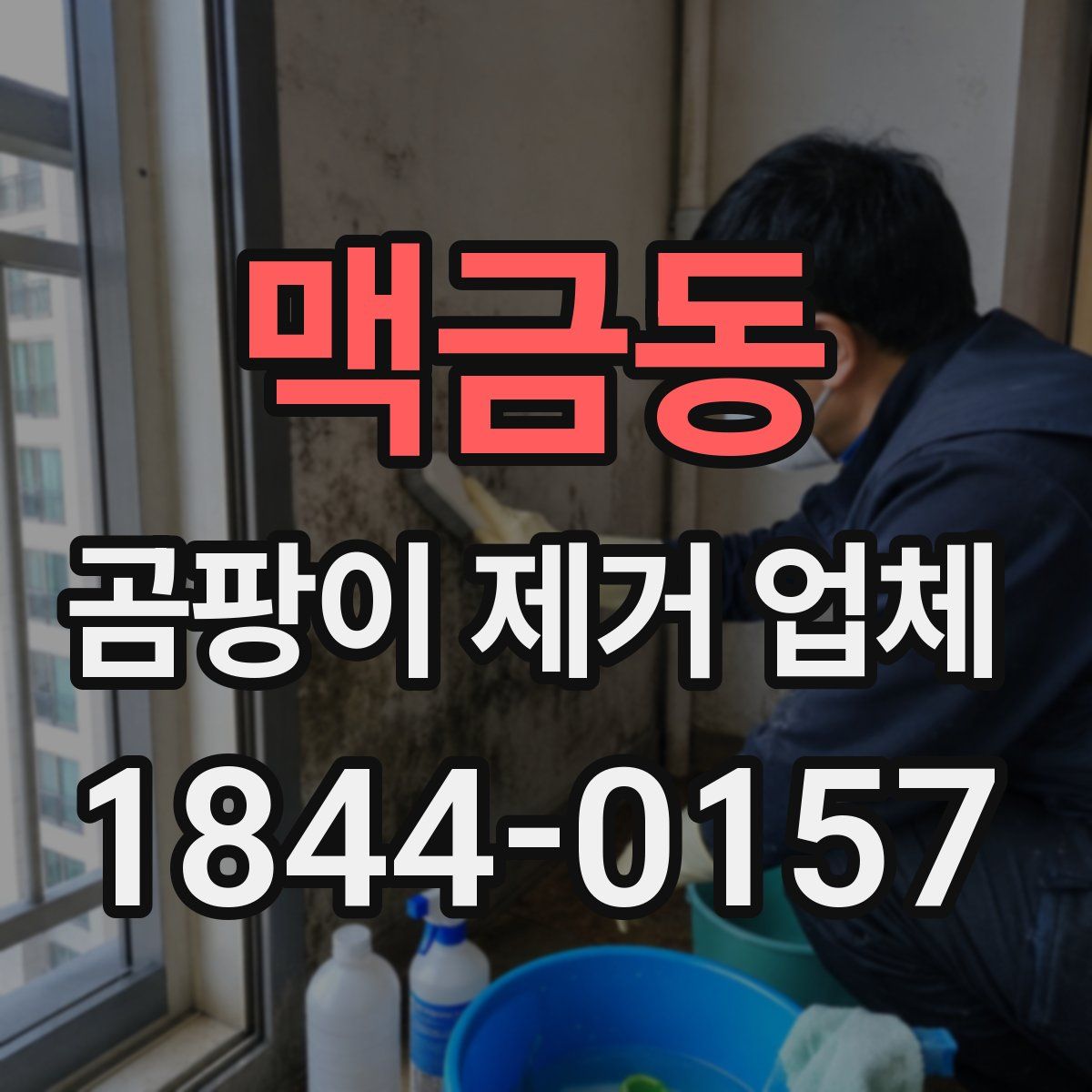 맥금동 곰팡이 제거 업체
