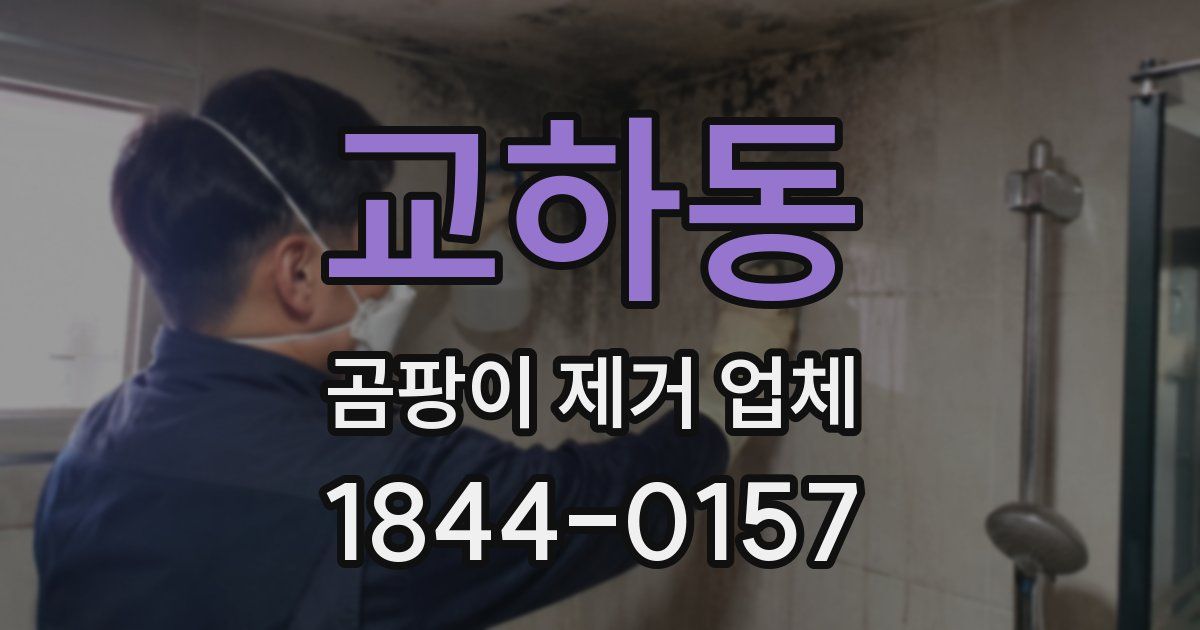 교하동 곰팡이 제거 업체
