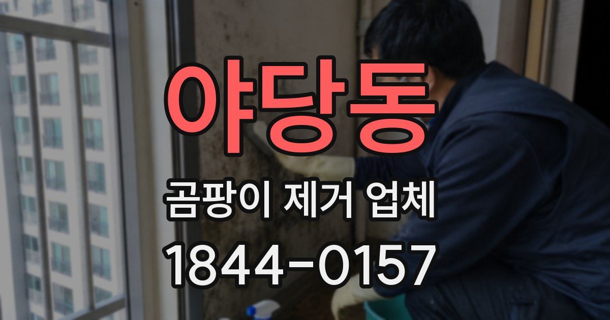 야당동 곰팡이 제거 업체
