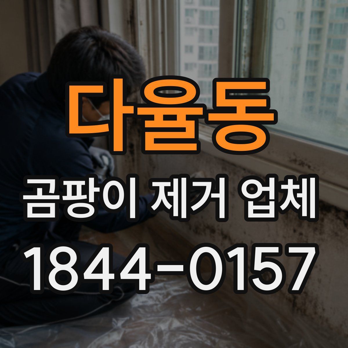다율동 곰팡이 제거 업체