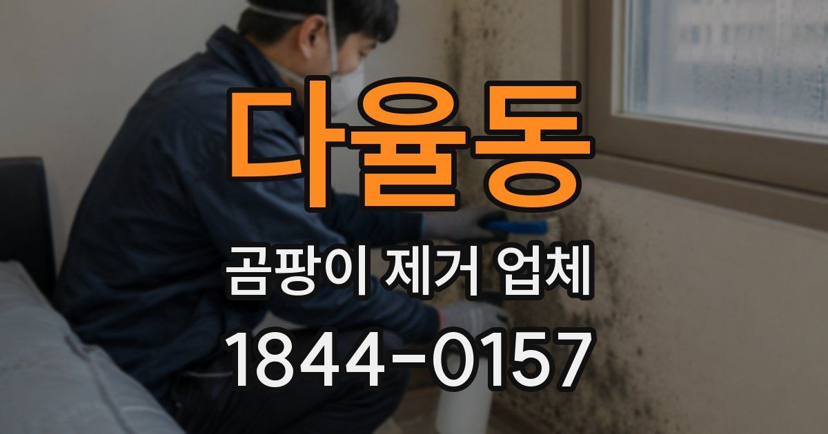 다율동 곰팡이 제거 업체