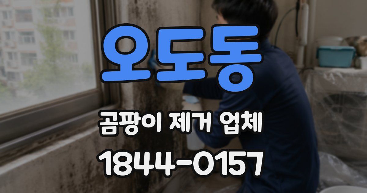 오도동 곰팡이 제거 업체