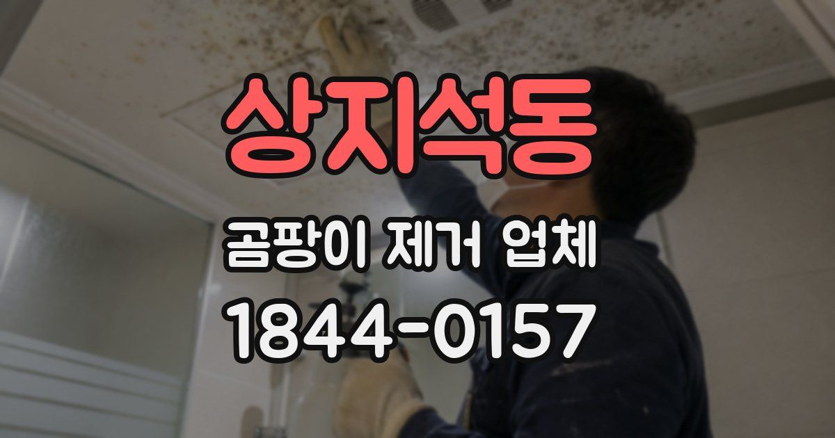 상지석동 곰팡이 제거 업체