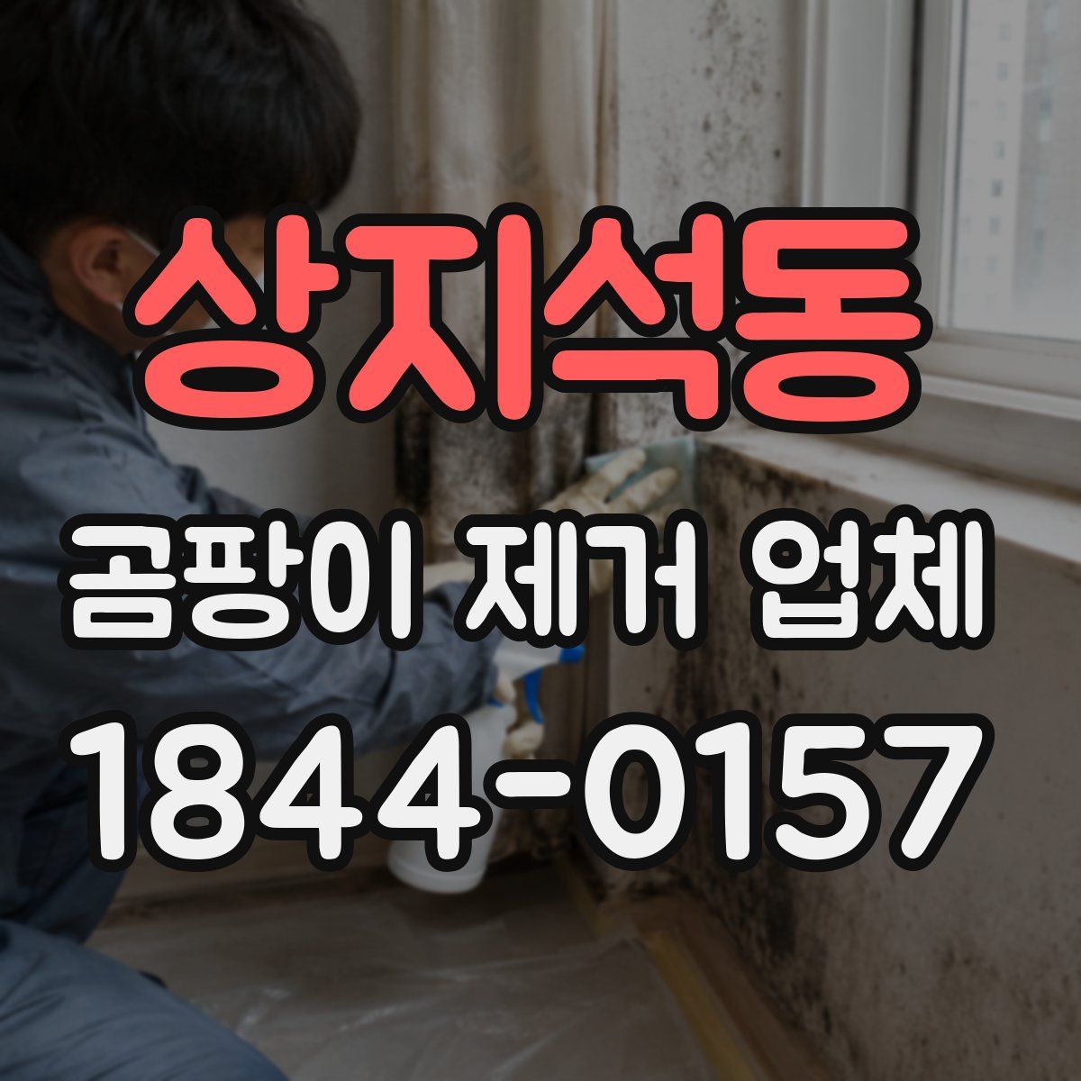 상지석동 곰팡이 제거 업체