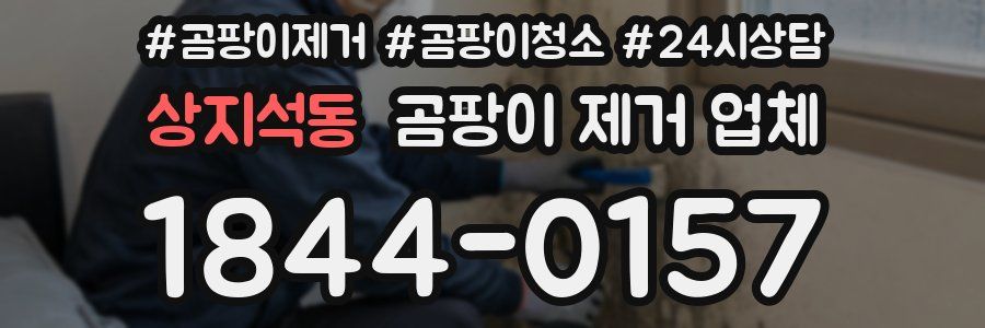 상지석동 곰팡이 제거 업체