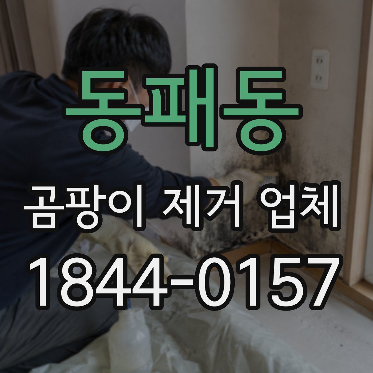 동패동 곰팡이 제거 업체