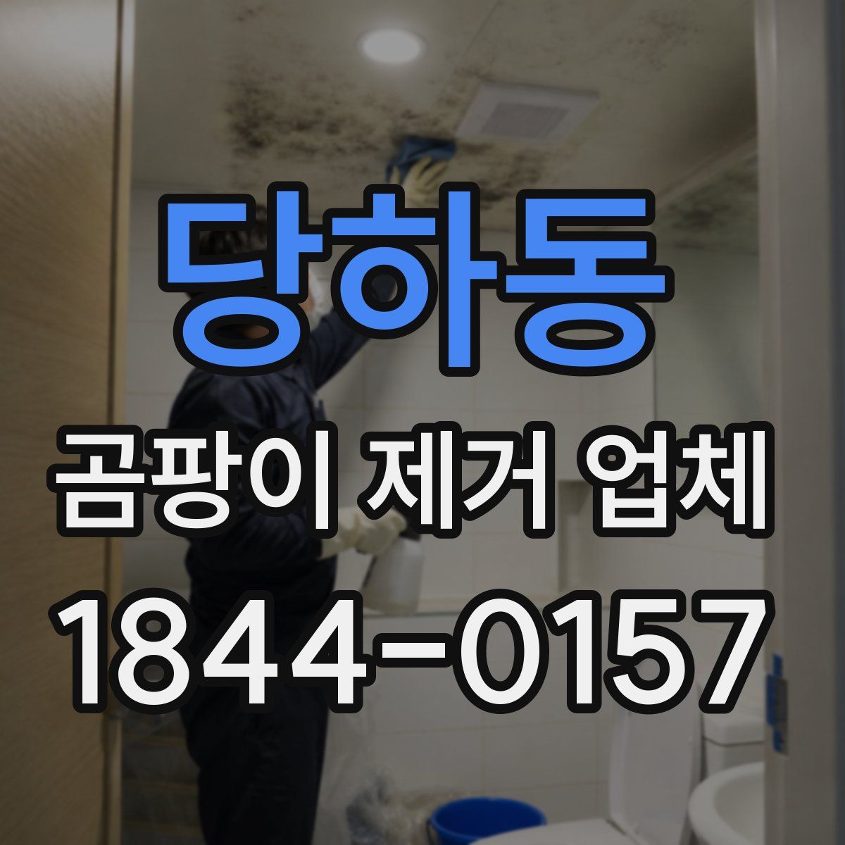 당하동 곰팡이 제거 업체