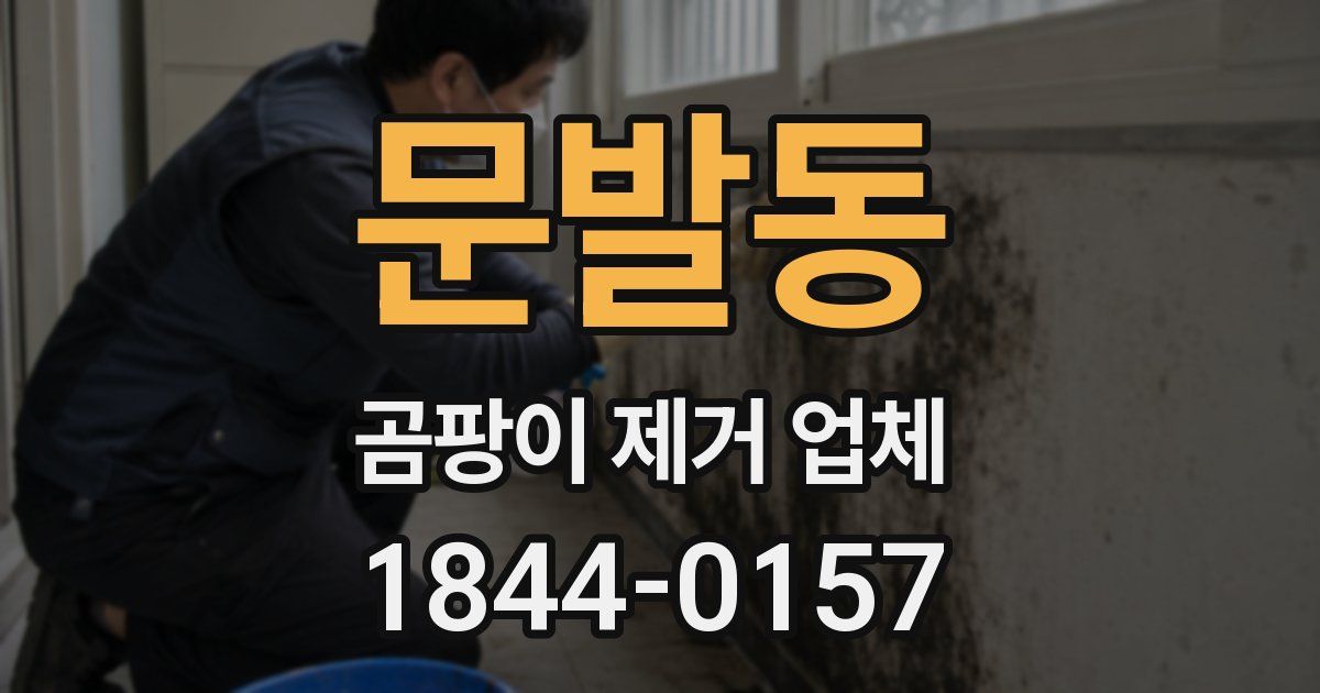 문발동 곰팡이 제거 업체