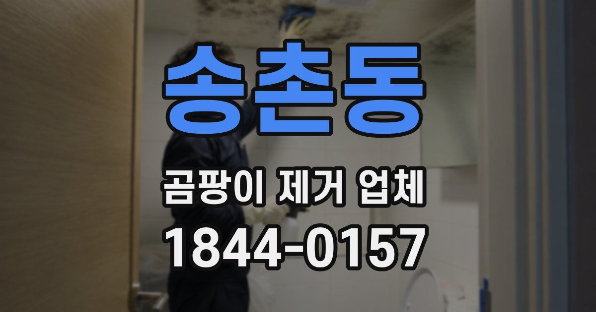 송촌동 곰팡이 제거 업체