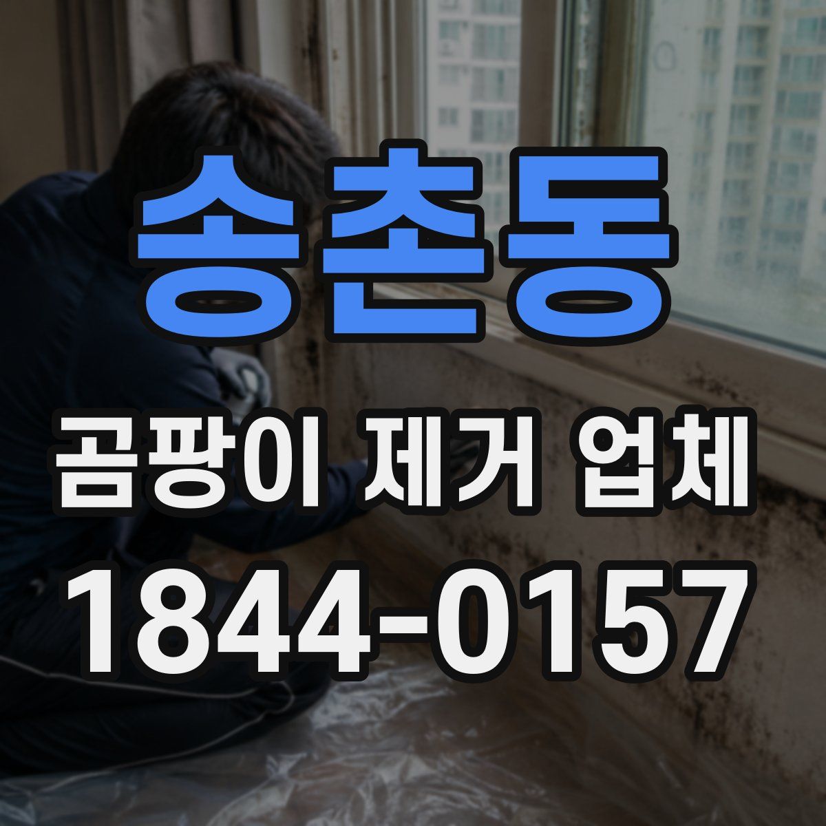 송촌동 곰팡이 제거 업체