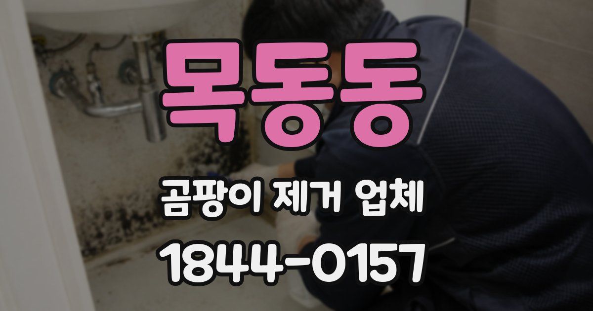 목동동 곰팡이 제거 업체