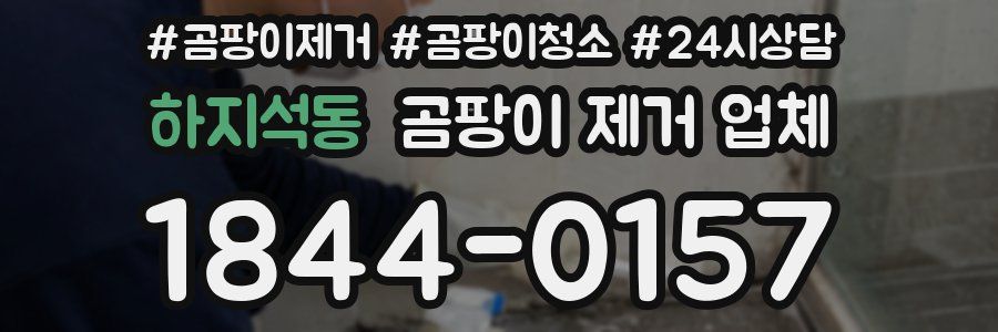 하지석동 곰팡이 제거 업체