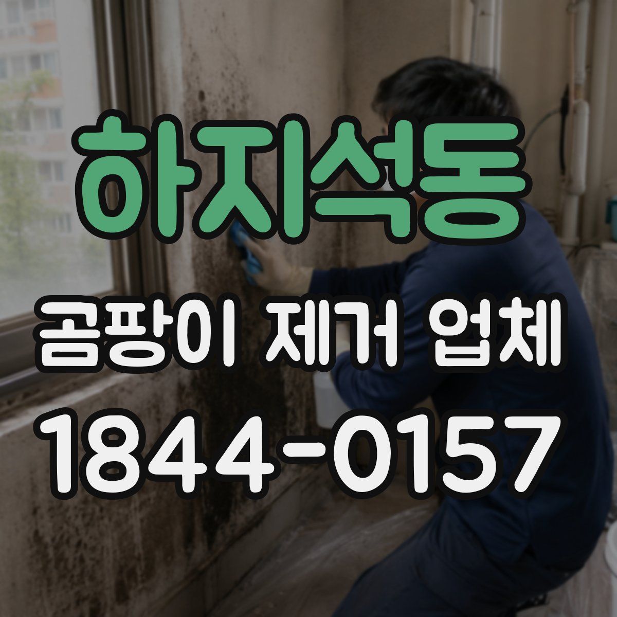 하지석동 곰팡이 제거 업체