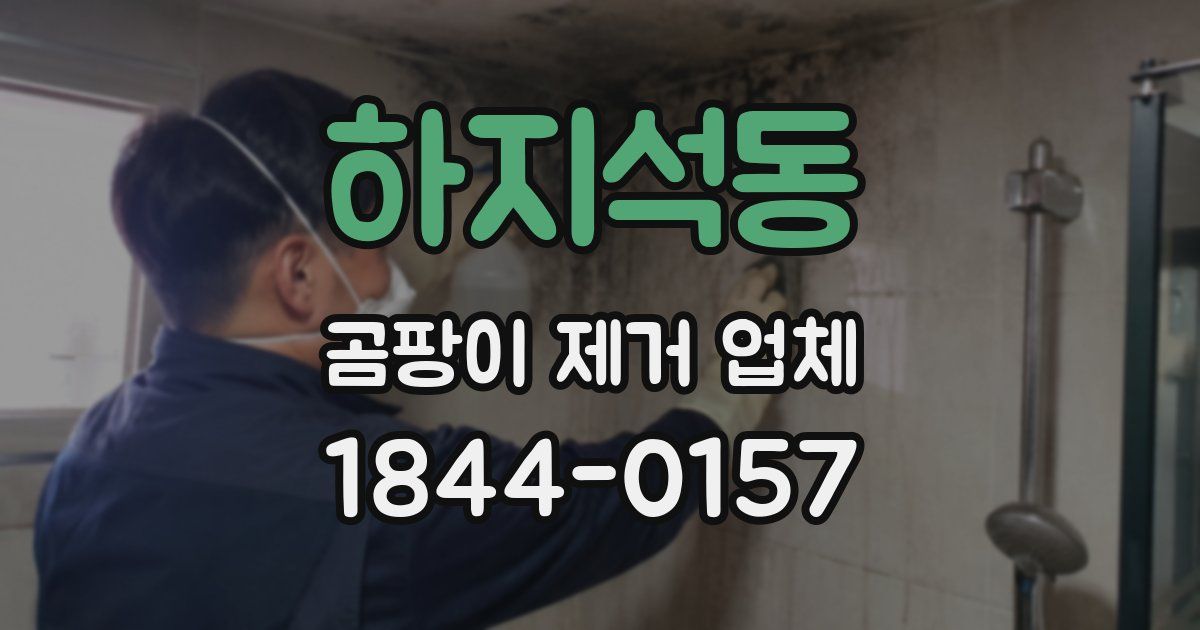 하지석동 곰팡이 제거 업체