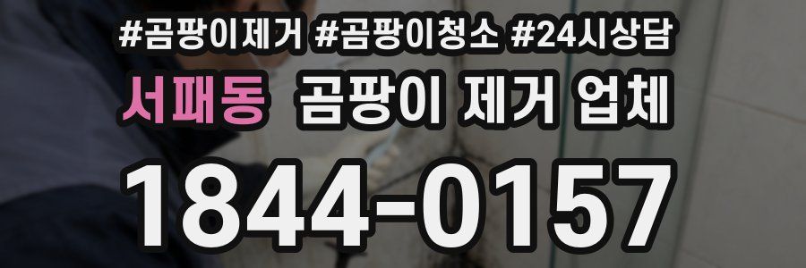 서패동 곰팡이 제거 업체