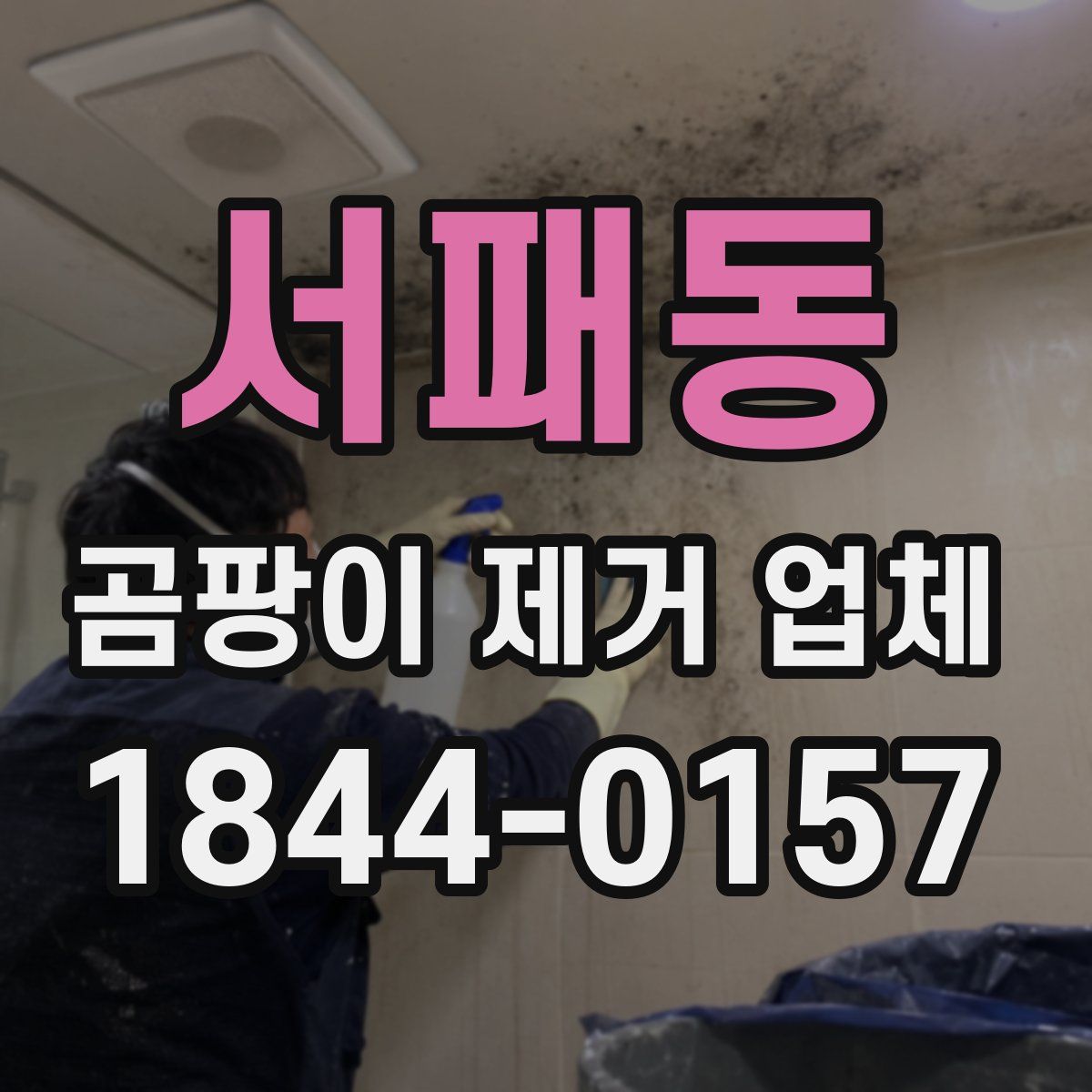 서패동 곰팡이 제거 업체