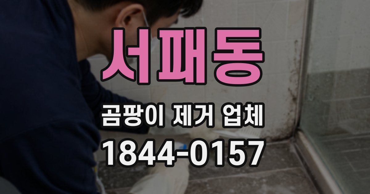 서패동 곰팡이 제거 업체