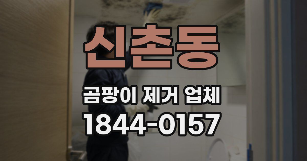 신촌동 곰팡이 제거 업체