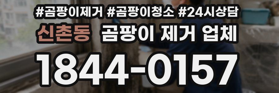 신촌동 곰팡이 제거 업체