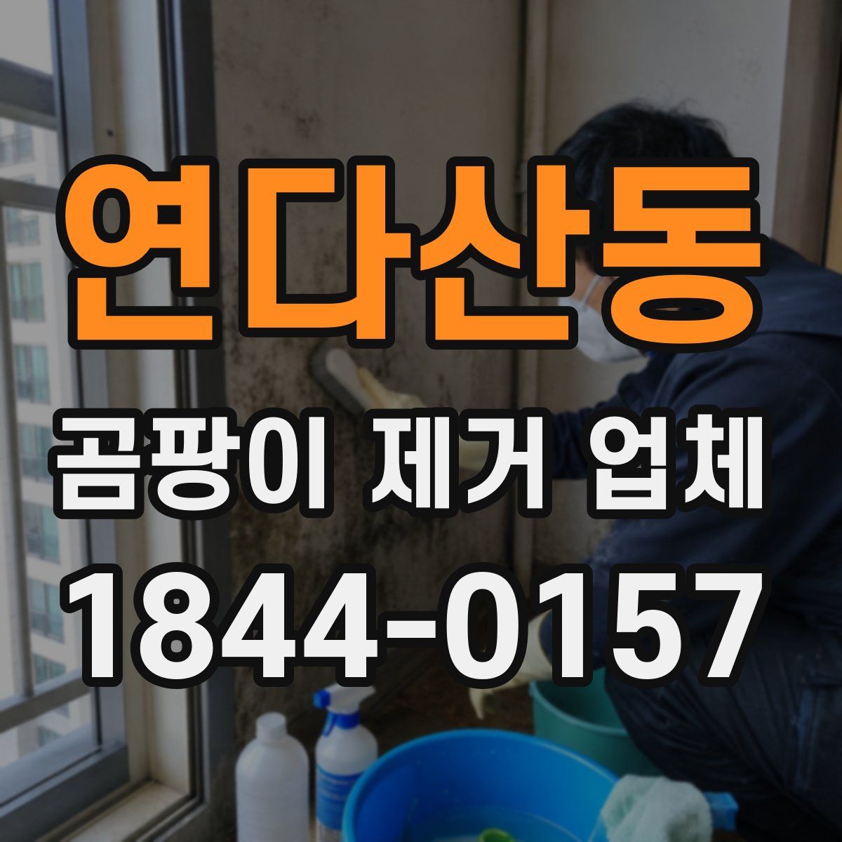연다산동 곰팡이 제거 업체