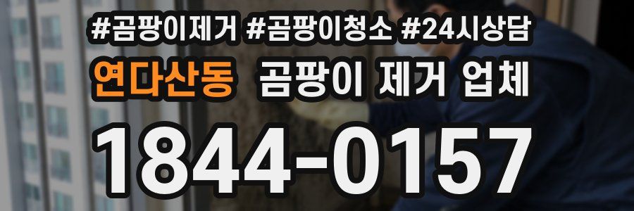 연다산동 곰팡이 제거 업체