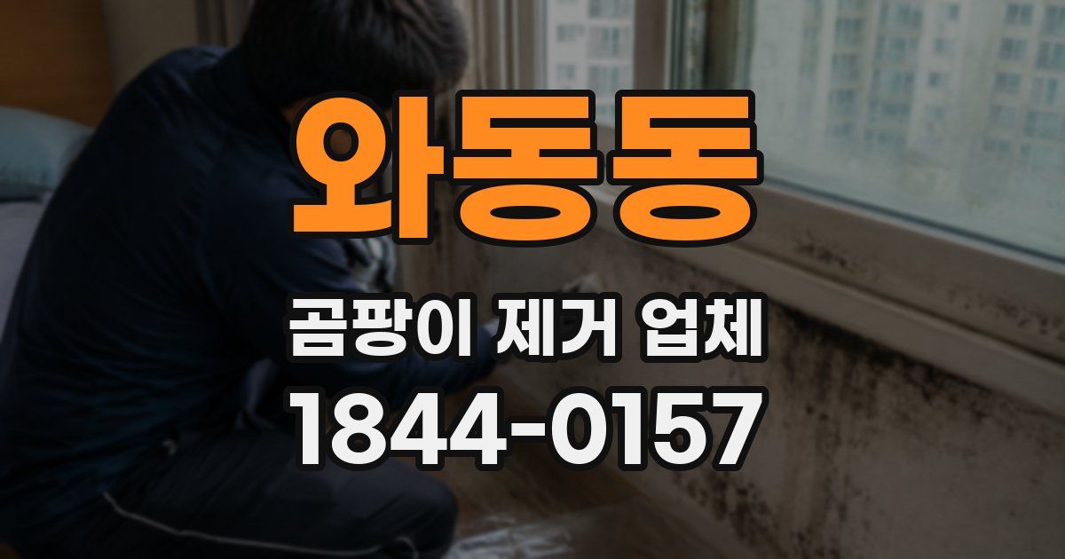 와동동 곰팡이 제거 업체